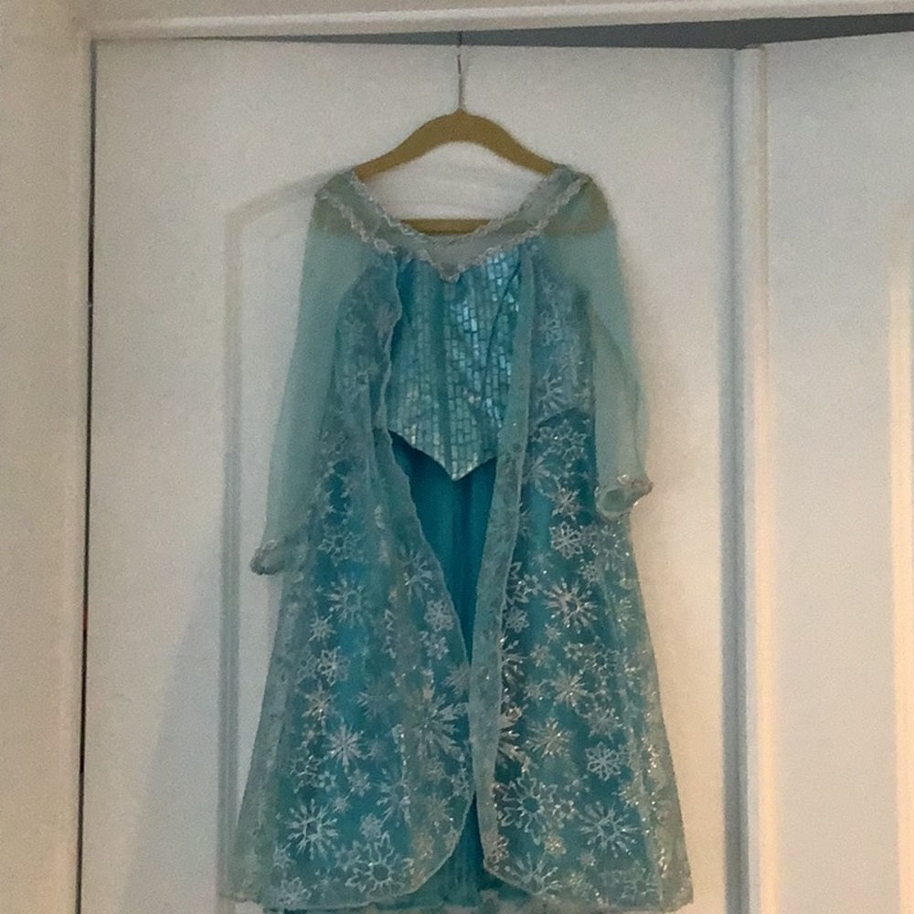 Frozen I Elsa costume